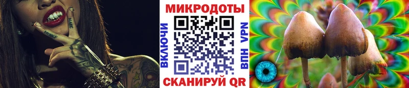 хочу Красногорск Псилоцибиновые грибы GOLDEN TEACHER
